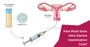 intrauterine insemination cost