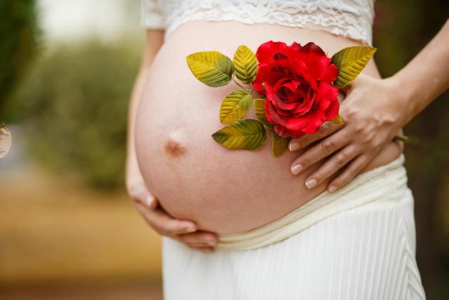 pregnant belly with red rose